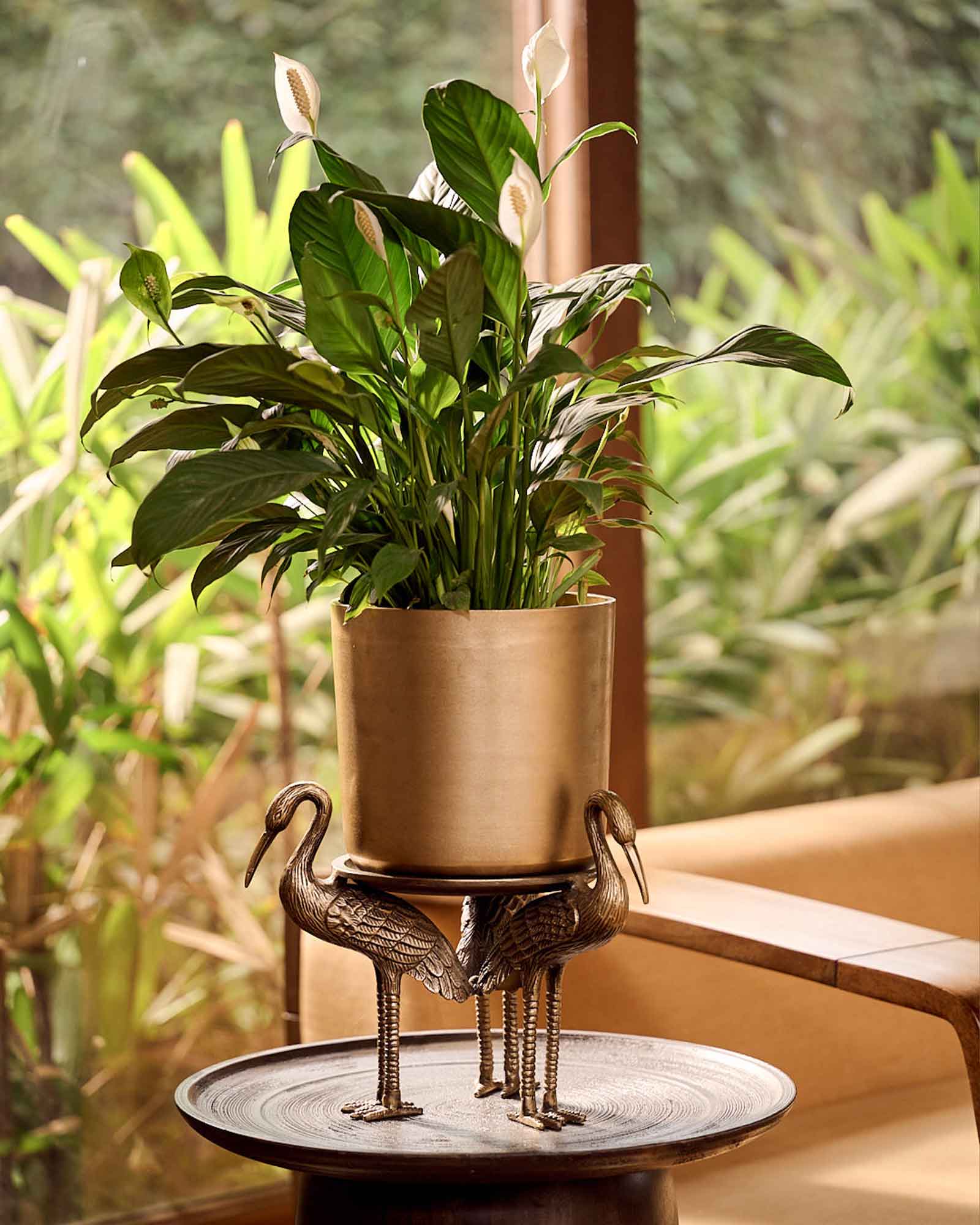 Leticia Crane Table Top Planter – Decorative Indoor Table Top Planter for Home Décor