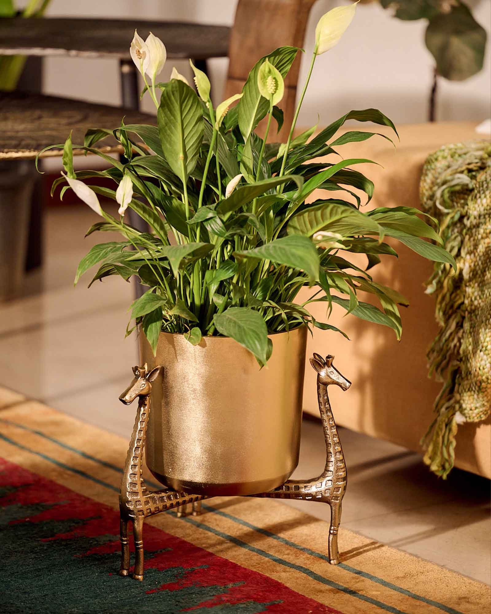 Leticia giraffe table top decorative planter for indoor home décor