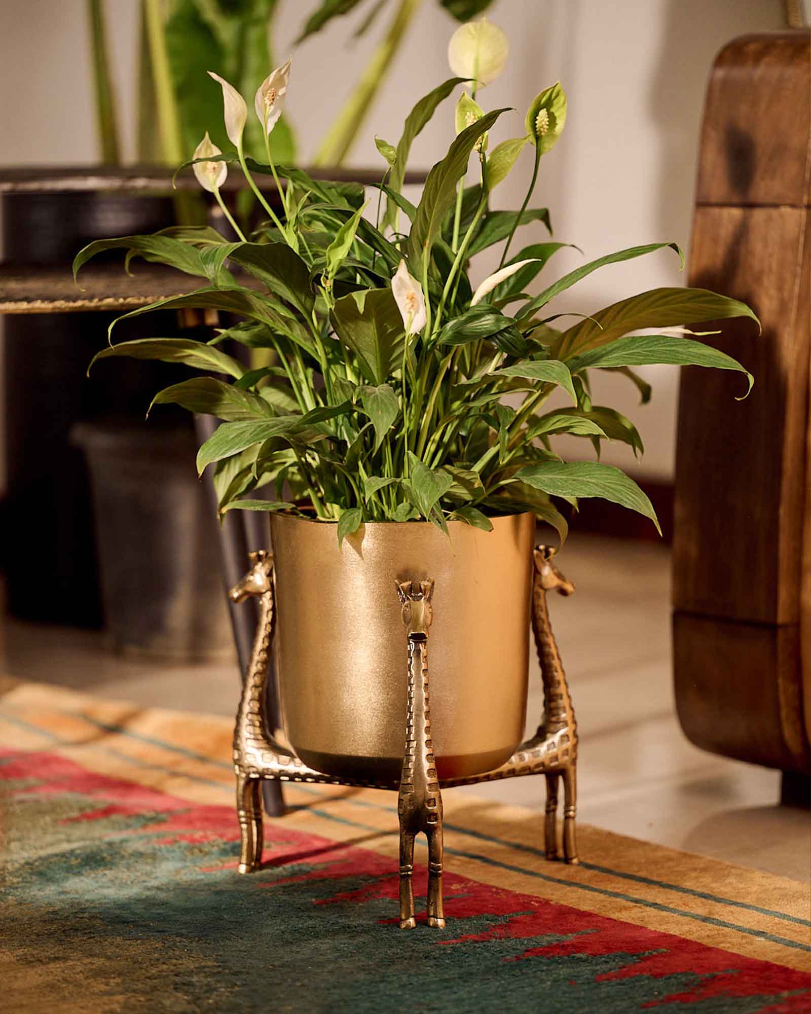 Leticia giraffe table top decorative planter for indoor home décor