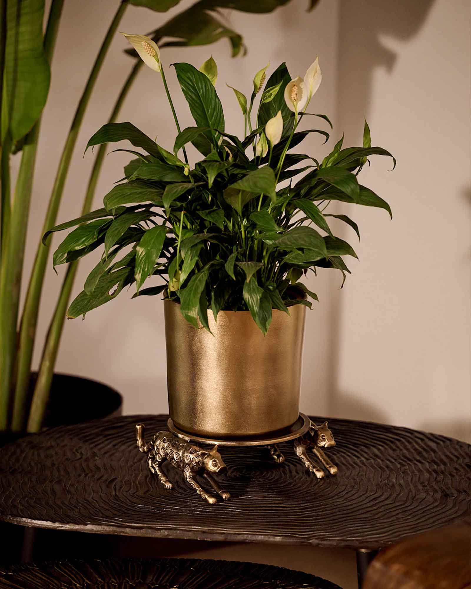 Leticia Panther Table Top Planter