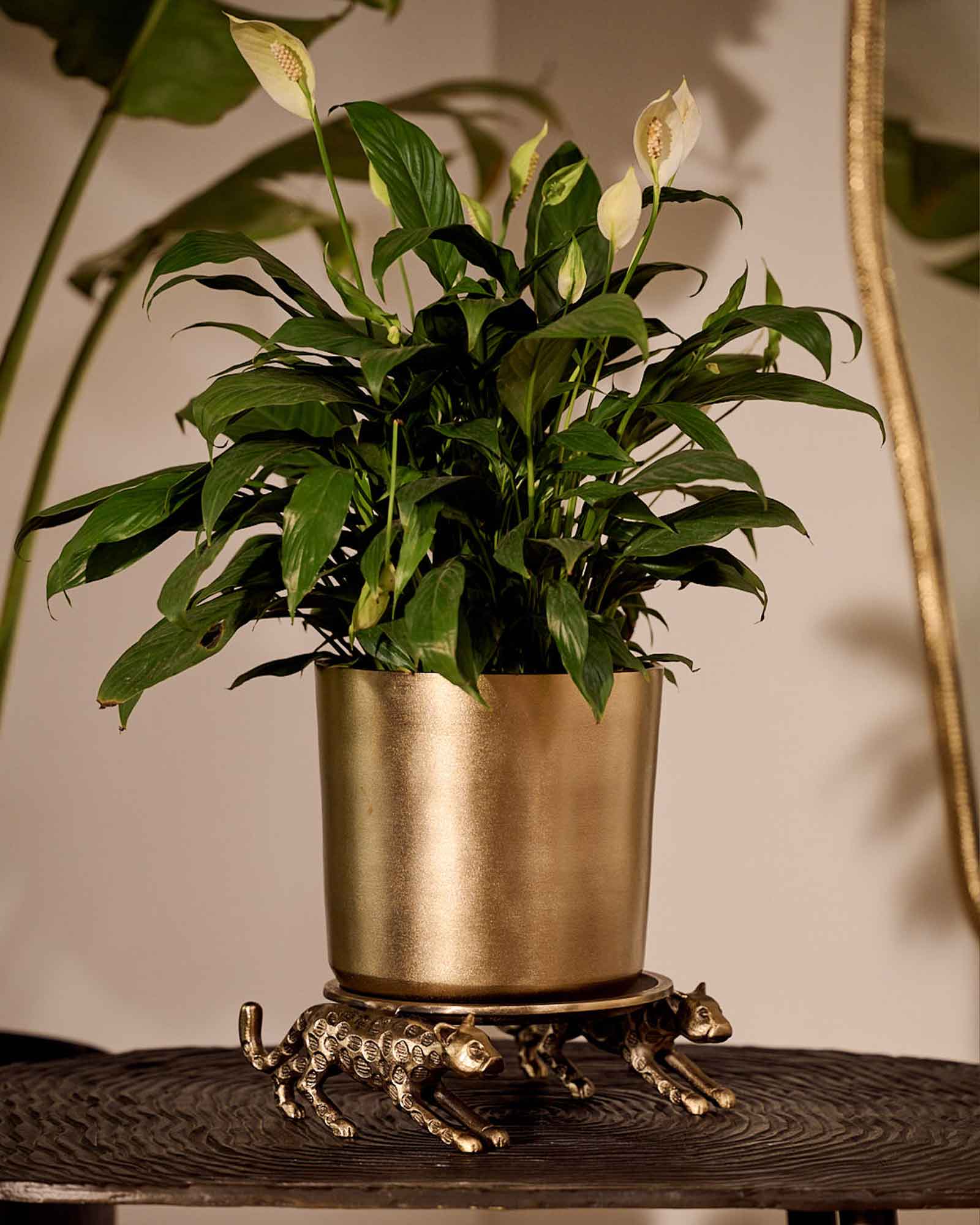 Leticia Panther Table Top Planter